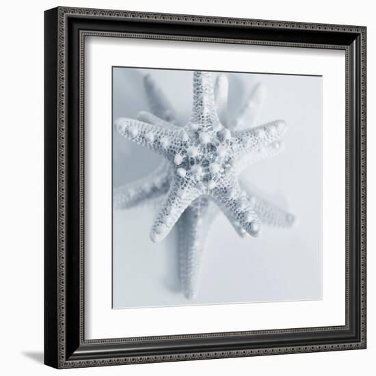 Midnight Starfish-Tracey Telik-Framed Art Print