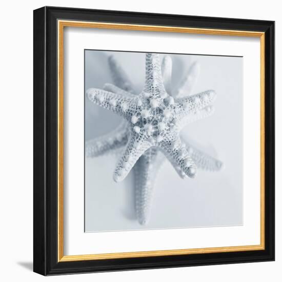 Midnight Starfish-Tracey Telik-Framed Art Print