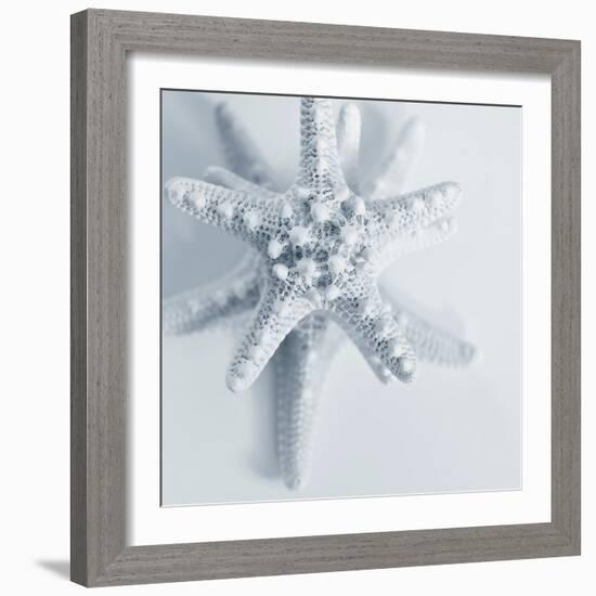 Midnight Starfish-Tracey Telik-Framed Art Print