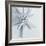 Midnight Starfish-Tracey Telik-Framed Art Print