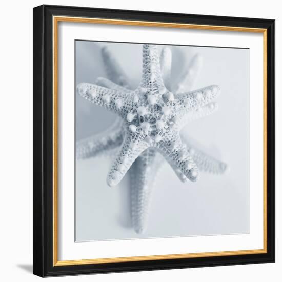 Midnight Starfish-Tracey Telik-Framed Art Print