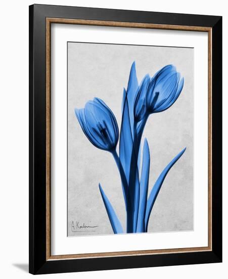 Midnight Tulips-Albert Koetsier-Framed Premium Giclee Print