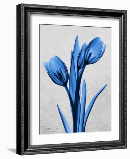 Midnight Tulips-Albert Koetsier-Framed Premium Giclee Print