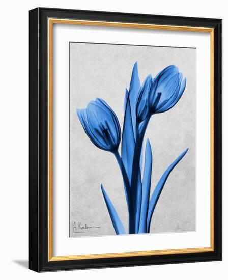 Midnight Tulips-Albert Koetsier-Framed Premium Giclee Print