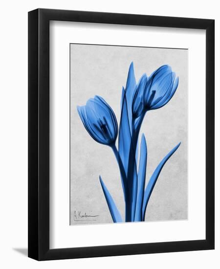 Midnight Tulips-Albert Koetsier-Framed Art Print