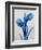 Midnight Tulips-Albert Koetsier-Framed Art Print