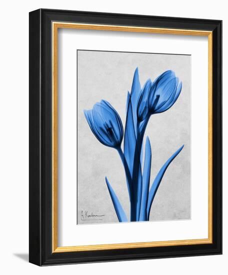 Midnight Tulips-Albert Koetsier-Framed Art Print