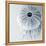 Midnight Urchins-Tracey Telik-Framed Stretched Canvas