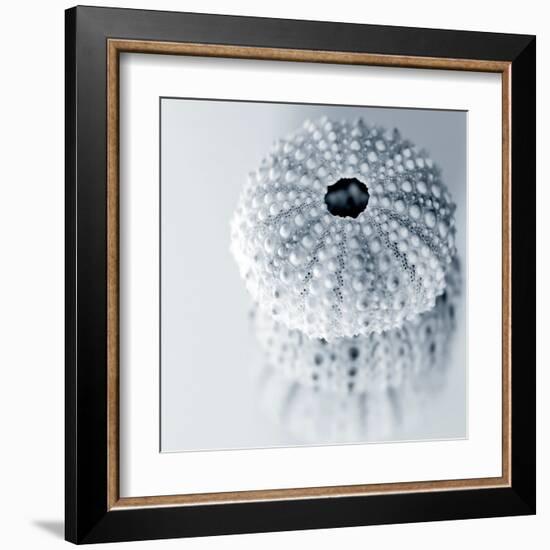 Midnight Urchins-Tracey Telik-Framed Art Print