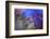 Midnight-Heidi Westum-Framed Photographic Print