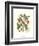 Midsummer Floral I-Vision Studio-Framed Art Print