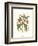 Midsummer Floral I-Vision Studio-Framed Art Print