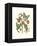 Midsummer Floral I-Vision Studio-Framed Stretched Canvas