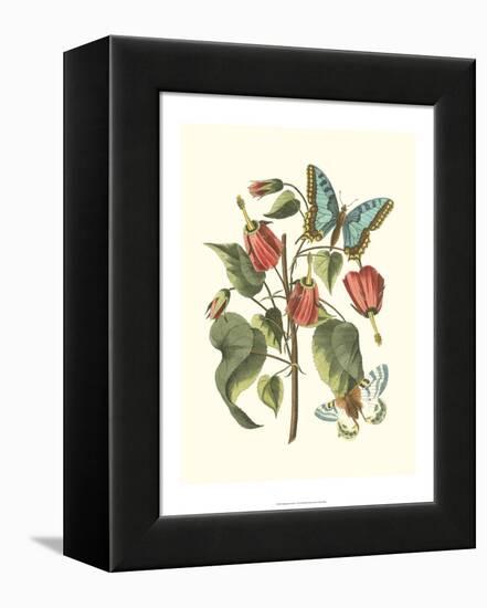 Midsummer Floral I-Vision Studio-Framed Stretched Canvas