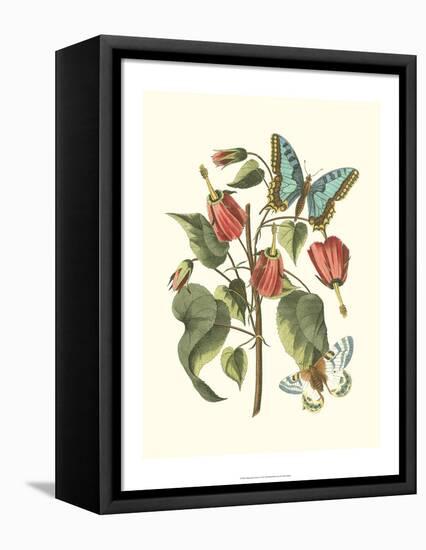 Midsummer Floral I-Vision Studio-Framed Stretched Canvas