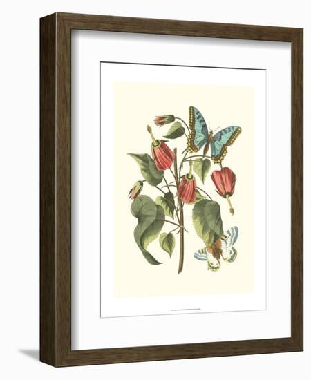 Midsummer Floral I-Vision Studio-Framed Premium Giclee Print