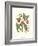 Midsummer Floral I-Vision Studio-Framed Art Print