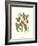 Midsummer Floral I-Vision Studio-Framed Art Print