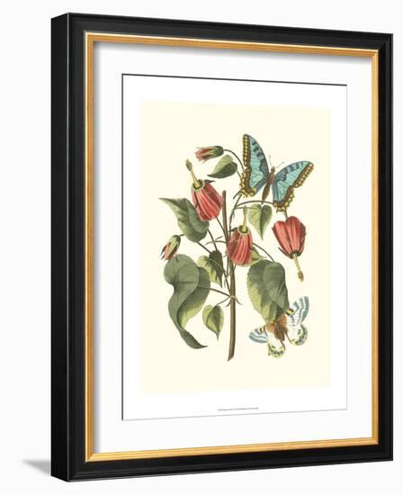 Midsummer Floral I-Vision Studio-Framed Art Print