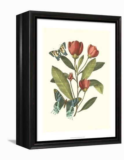 Midsummer Floral II-Vision Studio-Framed Stretched Canvas