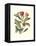 Midsummer Floral II-Vision Studio-Framed Stretched Canvas