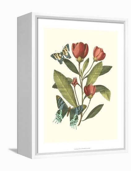 Midsummer Floral II-Vision Studio-Framed Stretched Canvas
