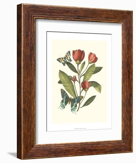 Midsummer Floral II-Vision Studio-Framed Art Print