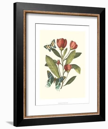 Midsummer Floral II-Vision Studio-Framed Art Print