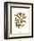 Midsummer Floral II-Vision Studio-Framed Art Print