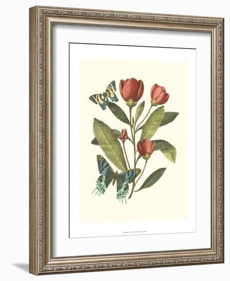 Midsummer Floral II-Vision Studio-Framed Art Print