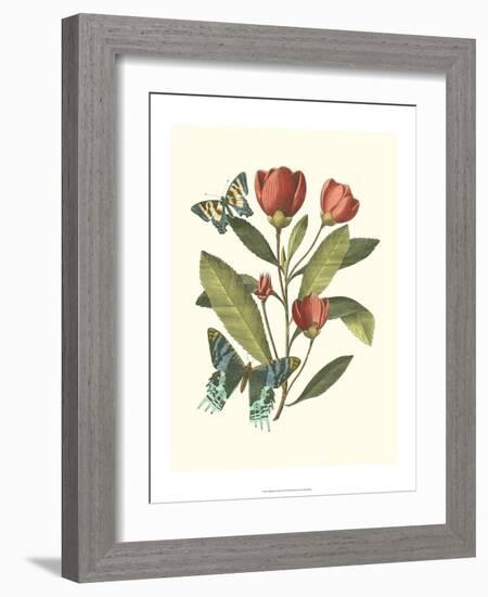 Midsummer Floral II-Vision Studio-Framed Art Print