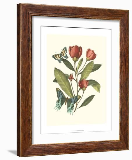 Midsummer Floral II-Vision Studio-Framed Art Print