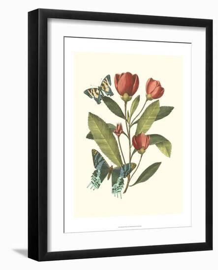 Midsummer Floral II-Vision Studio-Framed Art Print