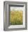 Midsummer Meadow-Jessica Torrant-Framed Art Print