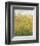 Midsummer Meadow-Jessica Torrant-Framed Art Print