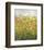 Midsummer Meadow-Jessica Torrant-Framed Art Print