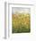 Midsummer Meadow-Jessica Torrant-Framed Art Print