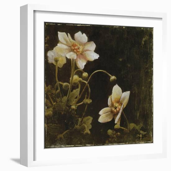 Midsummer Night Bloom I-Douglas-Framed Giclee Print