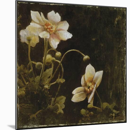 Midsummer Night Bloom I-Douglas-Mounted Giclee Print