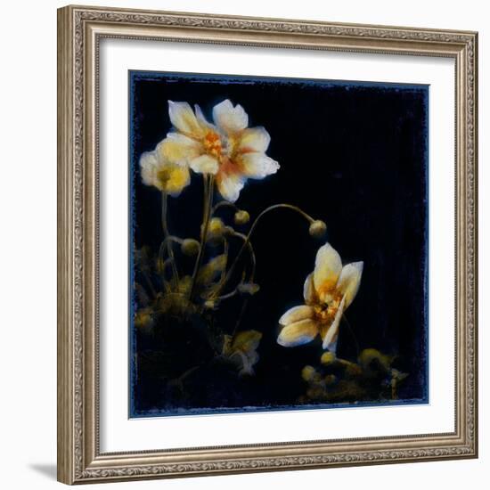 Midsummer Night Bloom III-Douglas-Framed Giclee Print