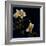 Midsummer Night Bloom III-Douglas-Framed Giclee Print