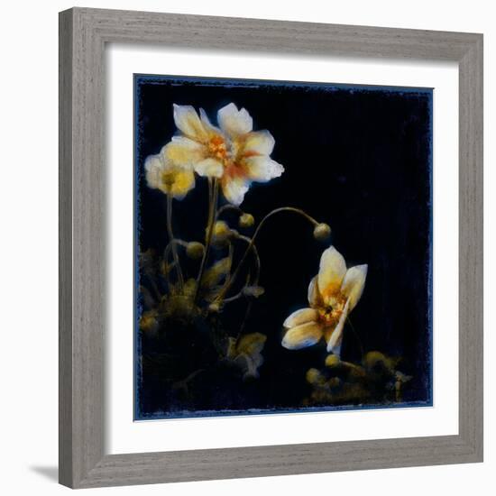 Midsummer Night Bloom III-Douglas-Framed Giclee Print