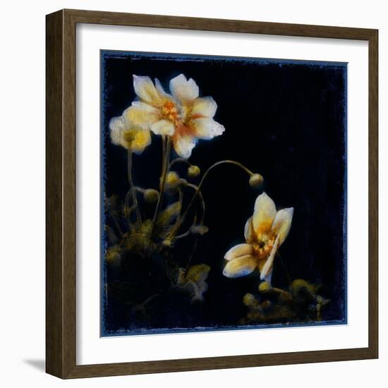 Midsummer Night Bloom III-Douglas-Framed Giclee Print