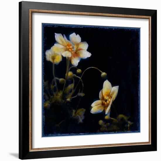 Midsummer Night Bloom III-Douglas-Framed Giclee Print