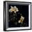 Midsummer Night Bloom III-Douglas-Framed Giclee Print