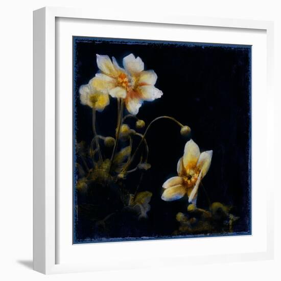 Midsummer Night Bloom III-Douglas-Framed Giclee Print