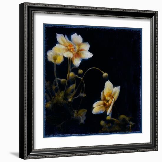 Midsummer Night Bloom III-Douglas-Framed Giclee Print