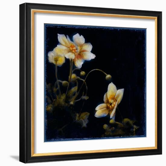 Midsummer Night Bloom III-Douglas-Framed Giclee Print
