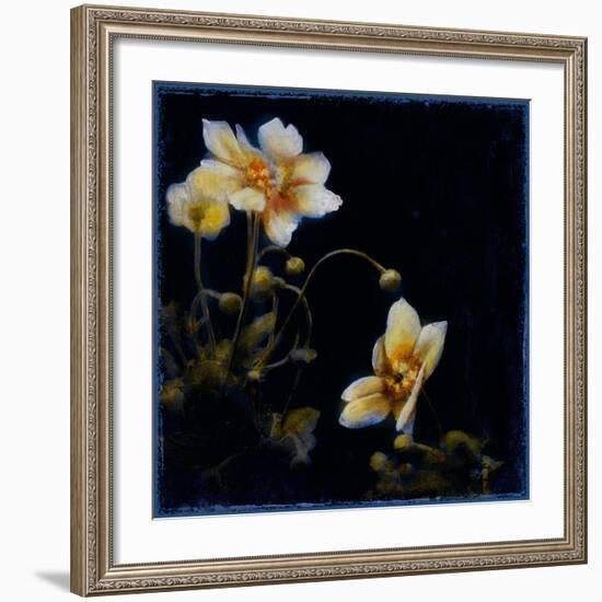 Midsummer Night Bloom III-Douglas-Framed Giclee Print