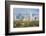 Midtown Skyline from Piedmont Park, Atlanta, Georgia, United States of America, North America-Gavin Hellier-Framed Photographic Print